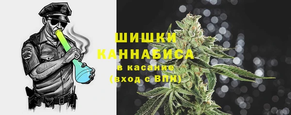 спиды Богданович