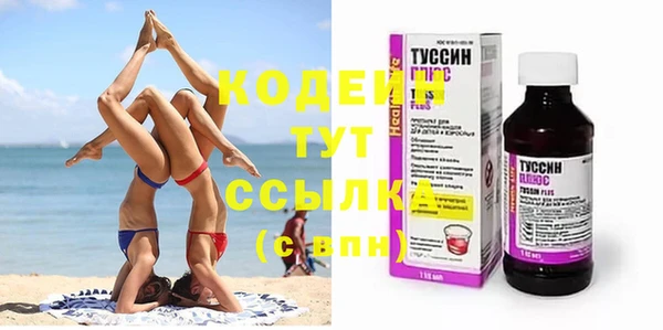 спиды Богданович