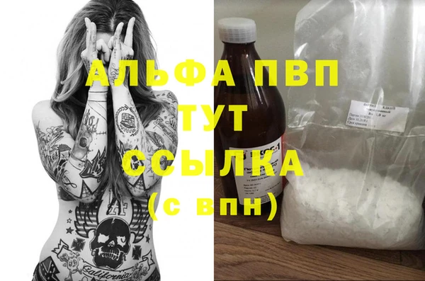 спиды Богданович