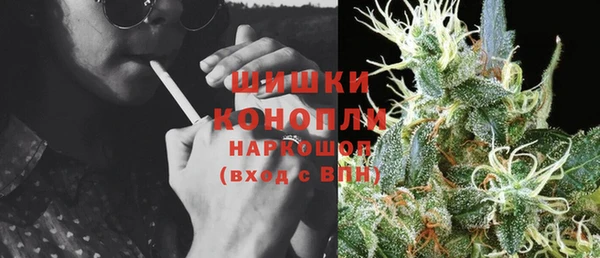 спиды Богданович
