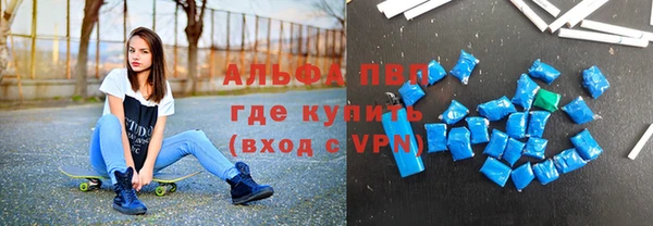 прущие грибы Богородицк