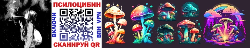 Псилоцибиновые грибы Psilocybe  Красногорск 
